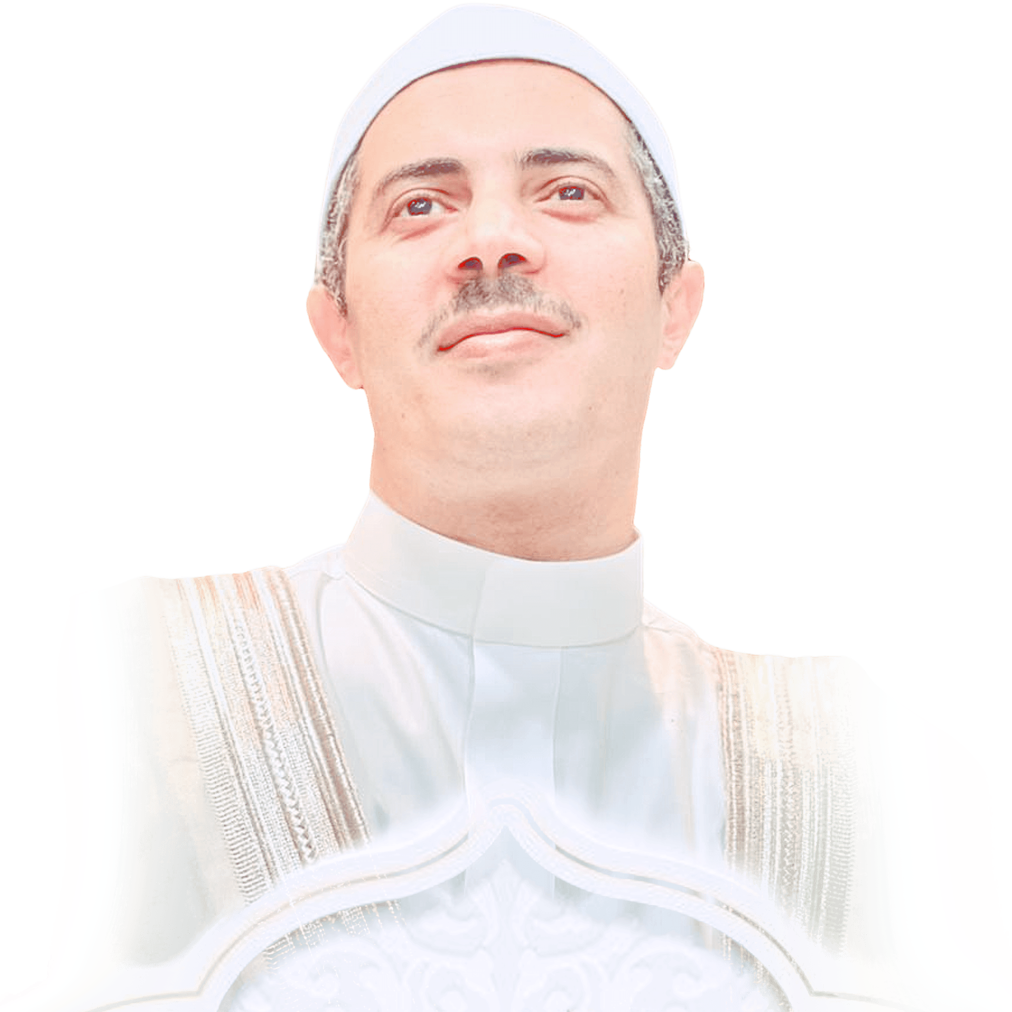 صورة رئيسية لنسخة الرد داخل القسم